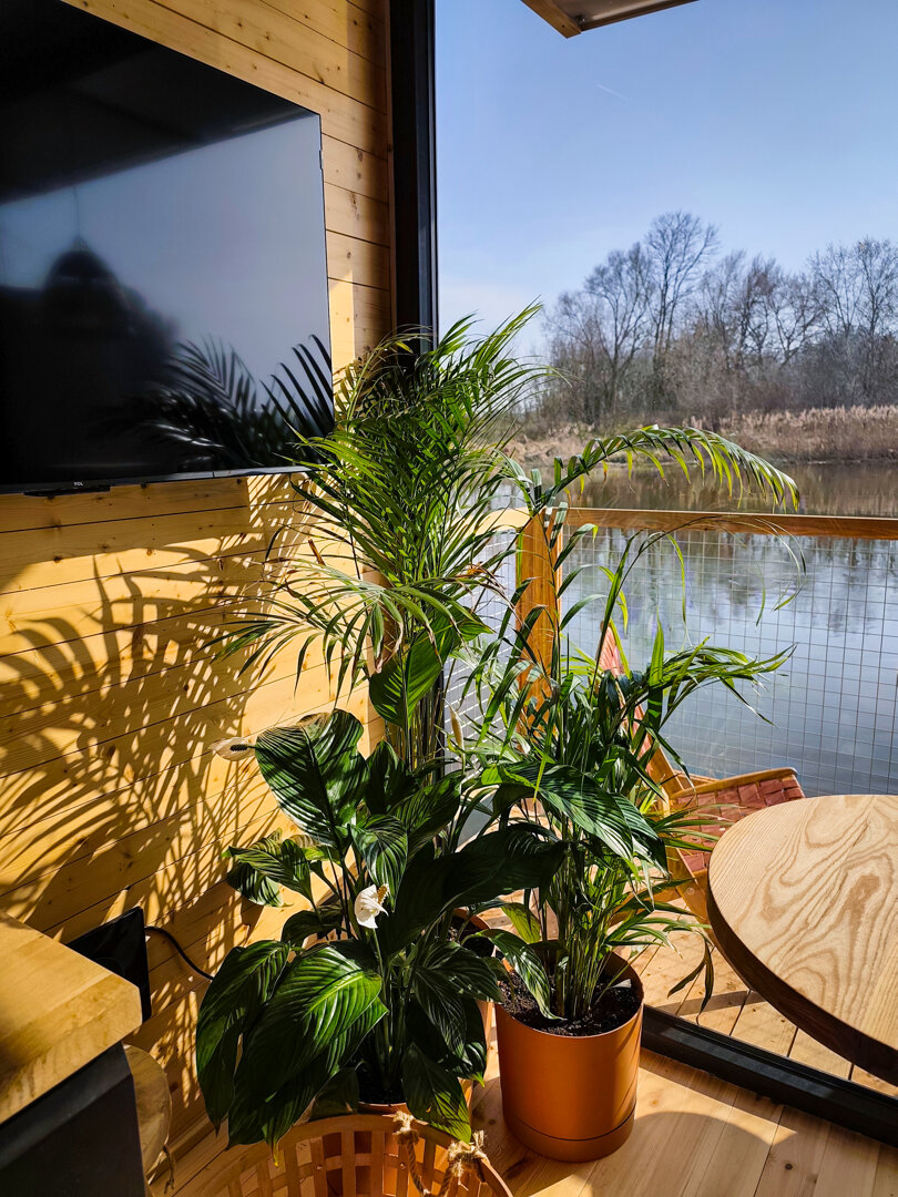 MODULO SPÓŁKA Z OGRANICZONĄ ODPOWIEDZIALNOŚCIĄ - 12